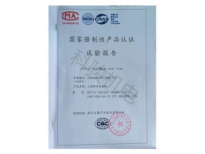國家強(qiáng)制性認(rèn)證試驗(yàn)報告：三相異步電動機(jī)